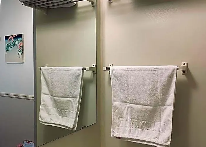 Hotel Toyoko Dongdaemun Ii 3*