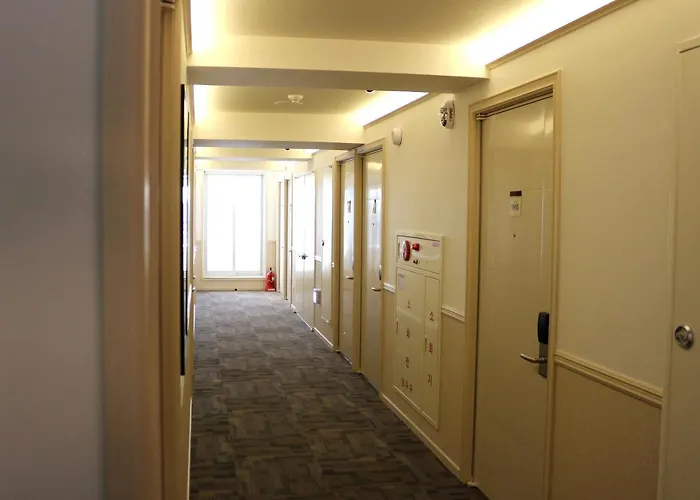 Hotel Toyoko Dongdaemun Ii 3*